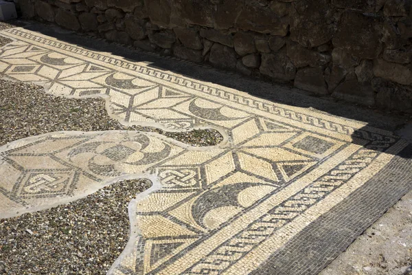 Roselle Italia Giugno 2017 Rovine Etrusche Mosaico Nel Sito Archeologico — Foto Stock