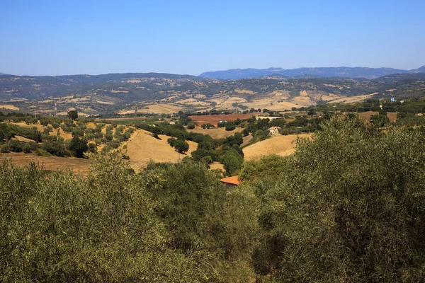 Montemerano Italië September 2017 Heuvels Landschap Land Rond Montemerano Dorp — Stockfoto