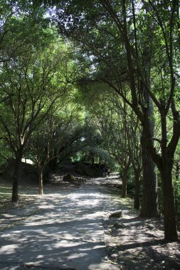 Bomarzo (Vt), İtalya - 15 Mayıs 2016: Bomarzo, Viterbo, Lazio, İtalya 'daki Sacro Bosco parkı