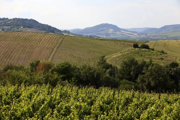 Orvieto Itália Maio 2016 Vista País Orvieto Terni Úmbria Itália — Fotografia de Stock