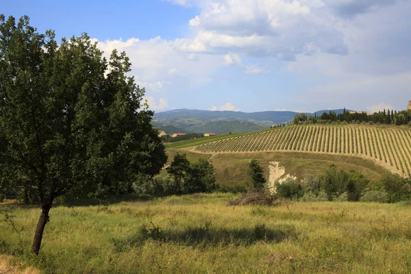 Orvieto Itália Maio 2016 Vista País Orvieto Terni Úmbria Itália — Fotografia de Stock