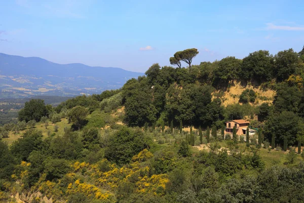 Monteleone Orvieto Itália Maio 2016 Paisagem Torno Aldeia Monteleone Orvieto — Fotografia de Stock