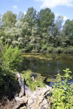 Castano Primo (MI), Italy - June 05, 2017: Ticino River, Castano Primo, Lombardy, Italy