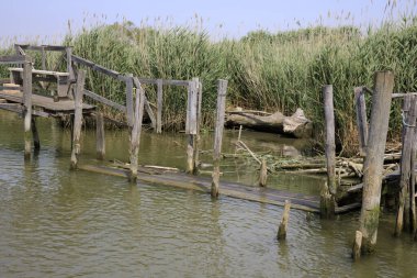 Po river (FE),  Italy - April 30, 2017: Typical scenery near Po river, Delta Regional Park, Emilia Romagna, Italy