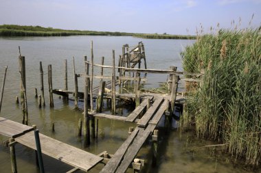 Po river (FE),  Italy - April 30, 2017: Typical scenery near Po river, Delta Regional Park, Emilia Romagna, Italy