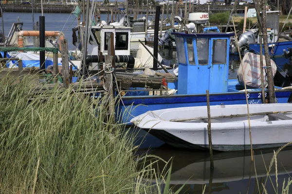 Mesola Italia Aprile 2017 Barche Pesca Sul Vicino Mesola Parco — Foto Stock