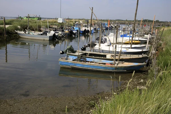Mesola Italy April 2017 Fish Boats River Mesola Delta Regional — Stockfoto
