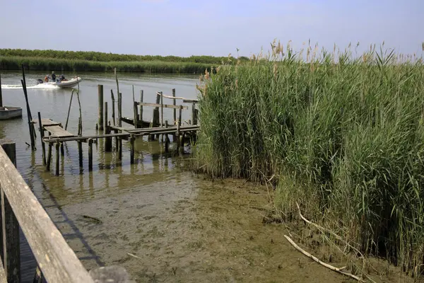 River Italy April 2017 Typical Scenery River Delta Regional Park — Stok fotoğraf