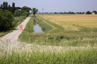 Po river (FE),  Italy - April 30, 2017: Typical rural scenery near Po river, Delta Regional Park, Emilia Romagna, Italy