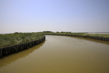 Po river (FE),  Italy - April 30, 2017: A canal near the Po river view from a tourist boat, Delta Regional Park, Emilia Romagna, Italy