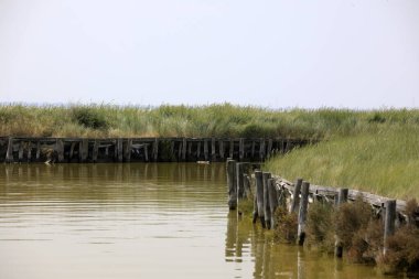 Po river (FE),  Italy - April 30, 2017: A canal in the Po river, Delta Regional Park, Emilia Romagna, Italy