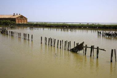 Po river (FE),  Italy - April 30, 2017: Typical rural scenery near Po river, Delta Regional Park, Emilia Romagna, Italy