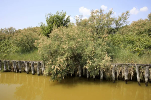 River Italy April 2017 Canal River View Tourist Boat Delta — Stok fotoğraf