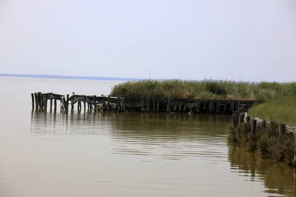 River Italy April 2017 Canal River Delta Regional Park Emilia — Stockfoto