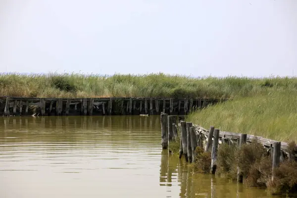 River Italy April 2017 Canal River Delta Regional Park Emilia — Stok fotoğraf