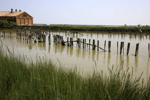 River Italy April 2017 Old Fisherman House River Delta Regional — Stok fotoğraf