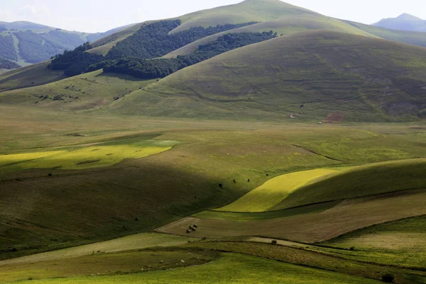 Norcia Italien Maj 2015 Den Berömda Våren Blommar Fälten Runt — Stockfoto