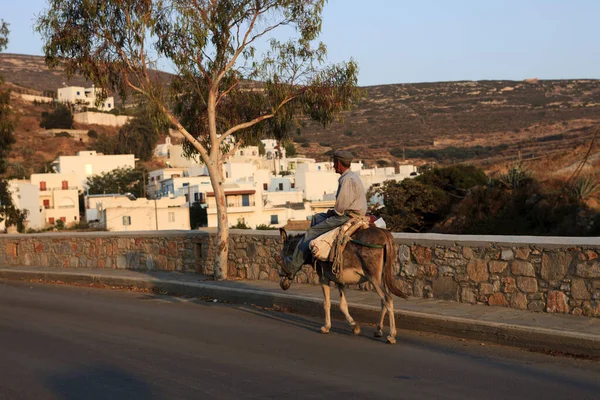 Βίβλος Νάξος Ελλάδα Αυγούστου 2014 Ένας Γάιδαρος Στο Δρόμο Του — Φωτογραφία Αρχείου