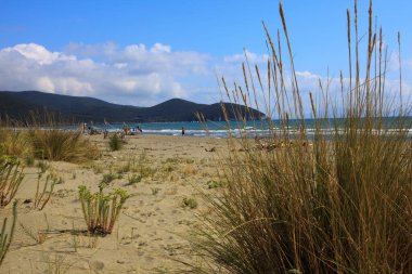 Alberese (Gr), İtalya - 10 Haziran 2017: Uccellina Doğal Rezerv, Alberese, Grosseto, Toskana, İtalya, Avrupa