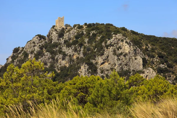 Alberese Italy June 2017 Castelmarino Tower Uccellina Natural Reserve Alberese — Stock Photo, Image