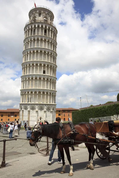 Pisa Italy June 2017 Famous Learning Tower Pisa Typical Carriage — 图库照片