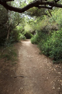 Sant Tomas, Menorca / Spain - June 25, 2016: The path to Binigaus beach, Sant Tomas, Menorca, Balearic Islands, Spain