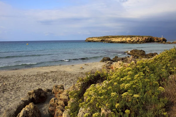 Sant Tomas Menorca Espanha Junho 2016 Praia Binigaus Com Flores — Fotografia de Stock