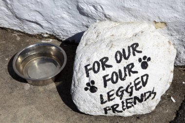 Land 's End bölgesi (İngiltere), Uk - 16 Ağustos 2015: The Land' s End bölgesinde bulaşık köpeği, Cornwall, İngiltere, Birleşik Krallık.