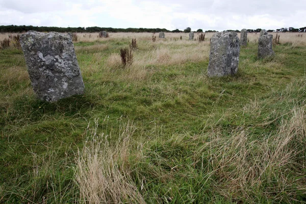 Lamorna Anglia Sierpnia 2015 Merry Maidens Stone Circle Cornwall Anglia — Zdjęcie stockowe