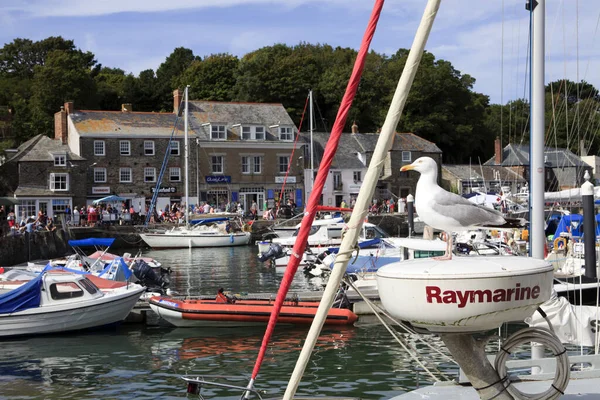 Padstow England August 2015 Padstow Harbor Cornwall United Kingdom — стоковое фото