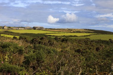 Madron (England), UK - August 16, 2015: Typical cornwall landscape, Cornwall, England, United Kingdom.