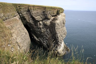 Crawton Bay (Scotland), UK - August 01, 2018: Cliff view at Crawton Bay, Scotland, Highlands, United Kingdom