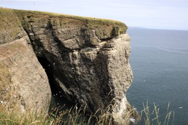 Crawton Bay (Scotland), UK - August 01, 2018: Cliff view at Crawton Bay, Scotland, Highlands, United Kingdom