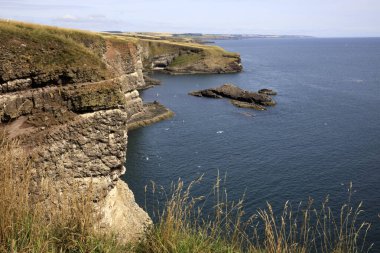 Crawton Bay (Scotland), UK - August 01, 2018: Cliff view at Crawton Bay, Scotland, Highlands, United Kingdom