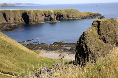 Stonehaven (Scotland), UK - August 01, 2018: Cliffs near Dunnottar castle, Scotland, Highlands, United Kingdom