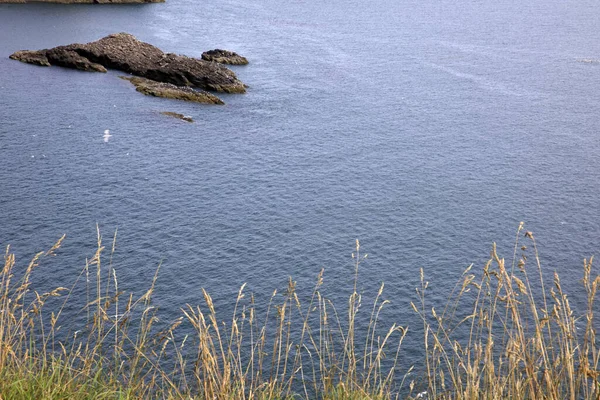 Crawton Bay Scotland August 2018 Cliff View Crawton Bay Scotland — Stok fotoğraf