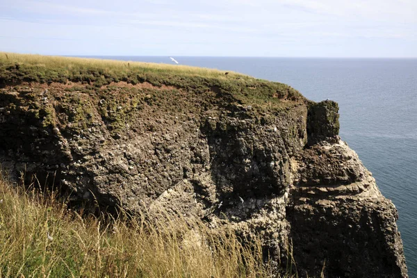 Crawton Bay Écosse Royaume Uni Août 2018 Vue Sur Falaise — Photo