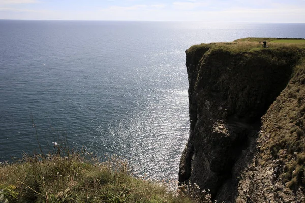 Crawton Bay Escocia Reino Unido Agosto 2018 Vista Del Acantilado — Foto de Stock