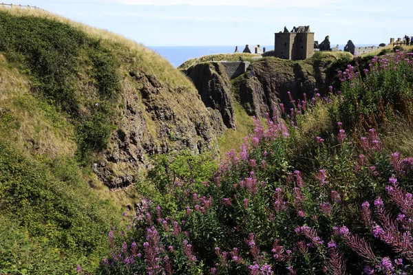 Стоунхейвен Шотландия Великобритания Августа 2018 Года Замок Данноттар Шотландия Хайлендс — стоковое фото