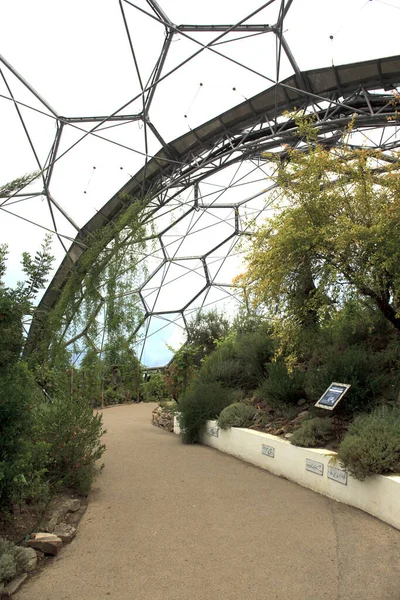 Austell England August 2015 Eden Project Garden Austell Cornwall England Stockfoto