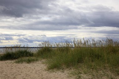 Dornoch (Scotland), UK - August 03, 2018: Dornoch Beach, Dornoch, Scotland, Highlands, United Kingdom