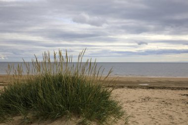 Dornoch (Scotland), UK - August 03, 2018: Dornoch Beach, Dornoch, Scotland, Highlands, United Kingdom