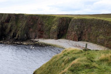 Duncansby (Scotland), UK - August 03, 2018: The Duncansby stacks, duncansby head, Scotland, Highlands, United Kingdom