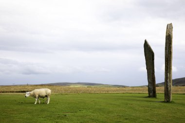 Stennessl - Orkney (İskoçya), Uk - 06 Ağustos 2018: Anakara, Orkney, İskoçya, İskoçya, İskoçya, İskoçya, Birleşik Krallık 'ta Stenness' in Ayakta Taşları, Neolitik Megalithler 