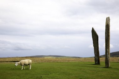 Stennessl - Orkney (İskoçya), Uk - 06 Ağustos 2018: Anakara, Orkney, İskoçya, İskoçya, İskoçya, İskoçya, Birleşik Krallık 'ta Stenness' in Ayakta Taşları, Neolitik Megalithler 