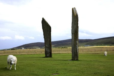 Stennessl - Orkney (İskoçya), Uk - 06 Ağustos 2018: Anakara, Orkney, İskoçya, İskoçya, İskoçya, İskoçya, Birleşik Krallık 'ta Stenness' in Ayakta Taşları, Neolitik Megalithler 
