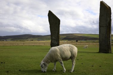Stennessl - Orkney (İskoçya), Uk - 06 Ağustos 2018: Anakara, Orkney, İskoçya, İskoçya, İskoçya, İskoçya, Birleşik Krallık 'ta Stenness' in Ayakta Taşları, Neolitik Megalithler 