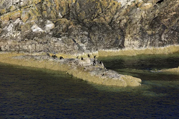 Portknockie Scotland August 2018 Coastal Landscape Bow Fiddle Rock Sea — Φωτογραφία Αρχείου