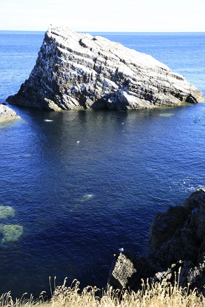 Portknockie Scotland August 2018 Coastal Landscape Bow Fiddle Rock Sea — Stok fotoğraf