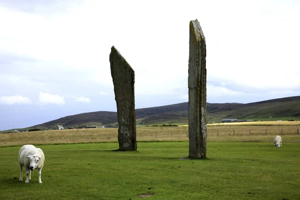 Stennessl Orkney Escócia Reino Unido Agosto 2018 Standing Stones Stenness — Fotografia de Stock